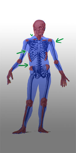schematische Darstellung der verschiednen Körperzonen